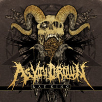 CDAs You Drown / Rat King