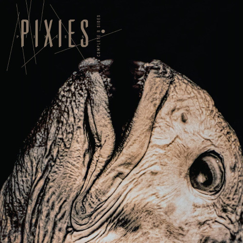 2CD / Pixies / Complete B-Sides: 1988-97 / 2CD