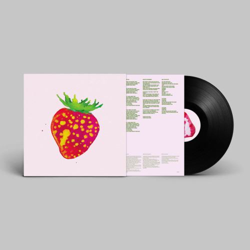 LP / Blonde Redhead / Sit Down For Dinner / Vinyl