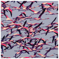2LPDeftones / Gore / Vinyl / 2LP