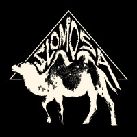 LPSlomosa / Slomosa / Vinyl