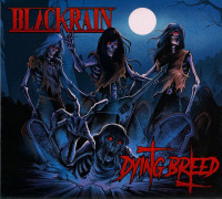 CDBlackrain / Dying Breed / Digipack