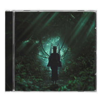 CDGlasswaves / while(True)