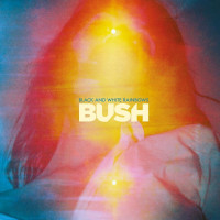 CDBush / Black And White Rainbows