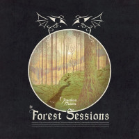 LPHulten Jonathan / Forest Sessions / Vinyl