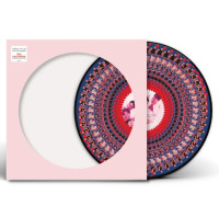 LPTake That / Everything Changes / Picture / Vinyl