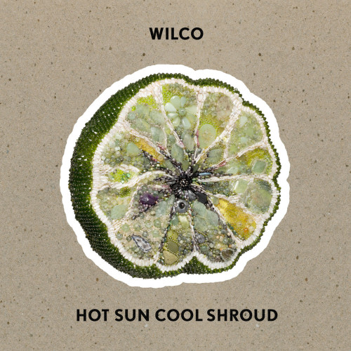 LP / Wilco / Hot Sun Cool Shroud / EP / Vinyl