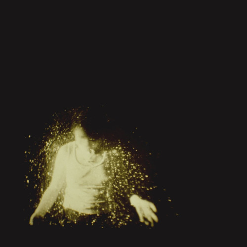 CD / Wolf Alice / My Love Is Cool