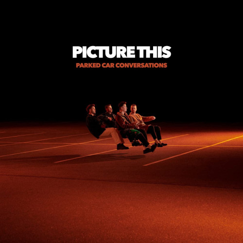 2LP / Picture This / Parked Car Converations / Vinyl / 2LP