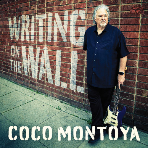 LP / Coco Montoya / Writing On The Wall / Blue / Vinyl