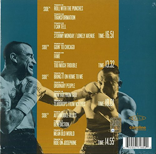 2LP / Morrison Van / Roll With The Punches / Vinyl / 2LP