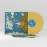 LPIron & Wine / Light Verse / Vinyl