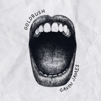 CDJames Gavin / Goldrush