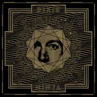 LPPixie Ninja / Colours Out Of Space / Gold / Vinyl