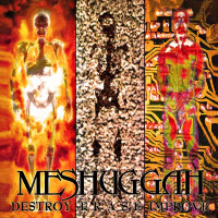 2LPMeshuggah / Destroy Erase Improve / 30th Anniversary / Vinyl / 2LP