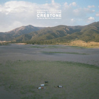 LPOST / Crestone / Animal Collective / Vinyl
