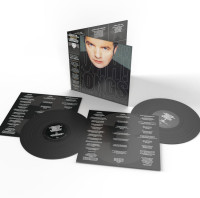 2LPPete Wylie & the Mighty Wah! / Songs of Strength... / Vinyl / 2LP