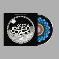 CDModest Mouse / An Eraser And A Maze / Digipack