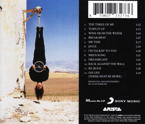 CD / Parsons Alan / Try Anything Once