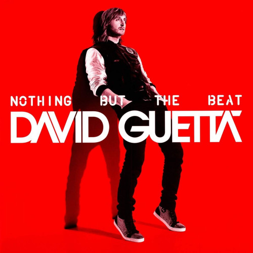 2LP / Guetta David / Nothing But The Beat / Vinyl / Coloured / 2LP
