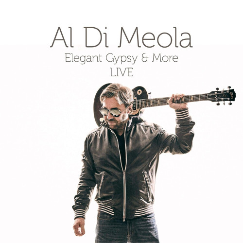 2LP / Di Meola Al / Elegant Gypsy & More Live / Vinyl / 2LP