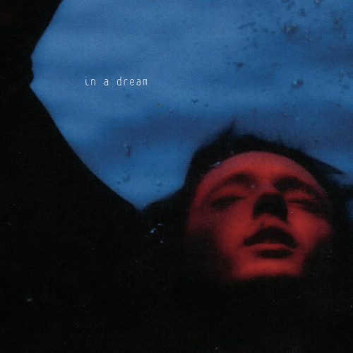 LP / Sivan Troye / In A Dream / Red,Blue Swirl / Vinyl