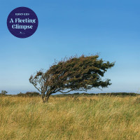 CDRiis Bjorn / A Fleeting Glimpse