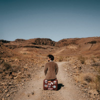 LPSoler Alvaro / El Camino / Vinyl