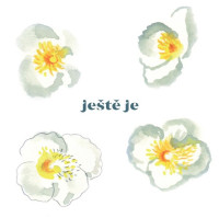 LPJavorsk� Vladim�r / Je�t� je / Vinyl