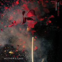 CDMother's Cake / No Rhyme No Reason