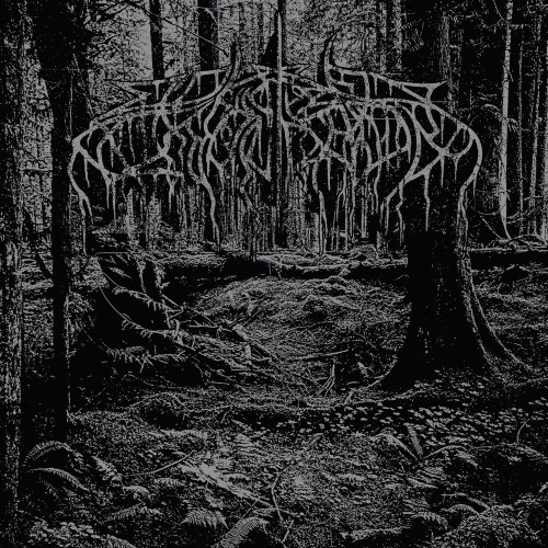 CD / Wolves In The Throne Room / 2005 Demo