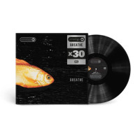 LPProdigy / Breathe / Maxi-Single / Vinyl