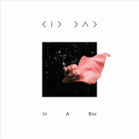CDKid Dad / In a Box