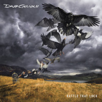 LPGilmour David / Rattle That Lock / Vinyl