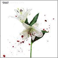 CDCult / Hidden City / Digisleeve