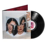 LPSpencer Smith Lauren / Art of Being a Mess / Vinyl
