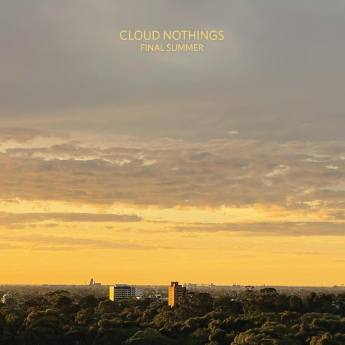 LP / Cloud Nothings / Final Summer / Marbled Amethyst / Vinyl