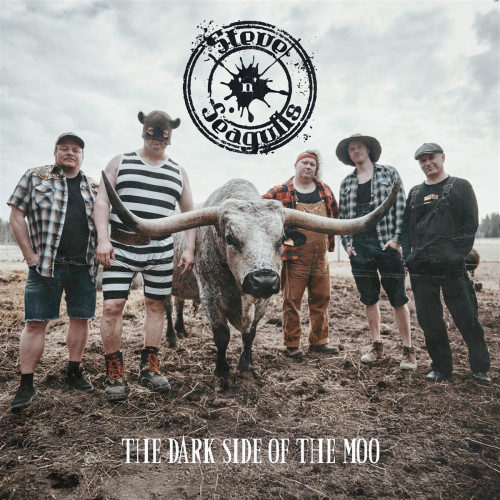 CD / Steve'n'seagulls / Dark Side Of Moo