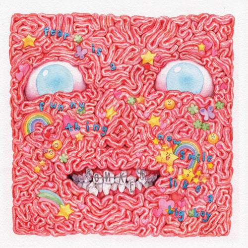 CD / Ronker / Fear Is A Funny Thing,Now Smile Like... / Digipack
