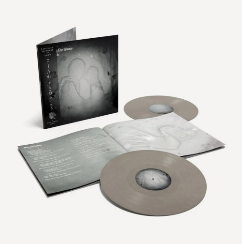 2LP / Bush Kate / 50 Words For Snow / White / Vinyl / 2LP