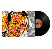 LPSponge / Rotting Pinata / Vinyl