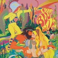 2LPBlues Pills / Live At Freak Valley Festival / Orange White / Vinyl