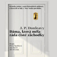 2CDDonleavy J.P. / D�ma,kter� m�la r�da �ist� z�chodky / 2CD