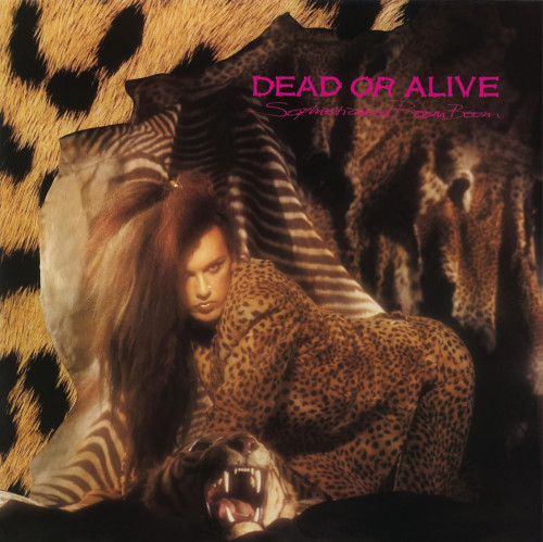 LP / Dead Or Alive / Sophisticated Boom Boom / Violet / Vinyl
