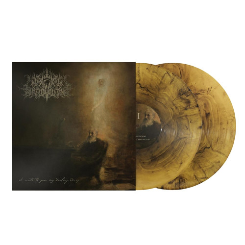 2LP / Wake In Providence / I Write To You,My Darling... / Vinyl / 2LP