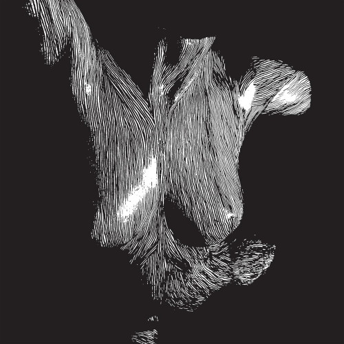 3LP / Oceansize / Self Preserved While The Bodies Float / Vinyl / 3LP