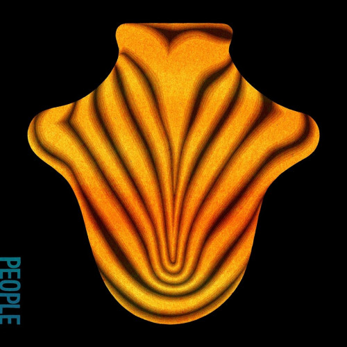 LP / Big Red Machine / Big Red Machine / Vinyl