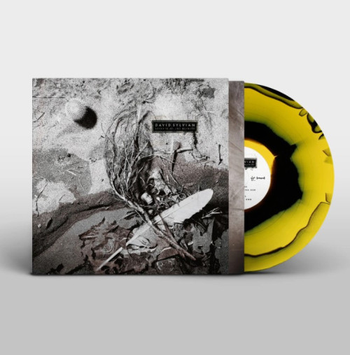 LP / Sylvian David / Secrets of the Beehive / Coloured / Vinyl