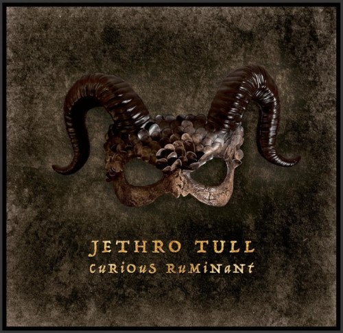 CD / Jethro Tull / Curious Ruminant / Digipack