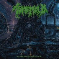 LPTomb Mold / Planetary Clairvoyance / Vinyl